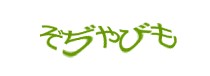 Authentication image